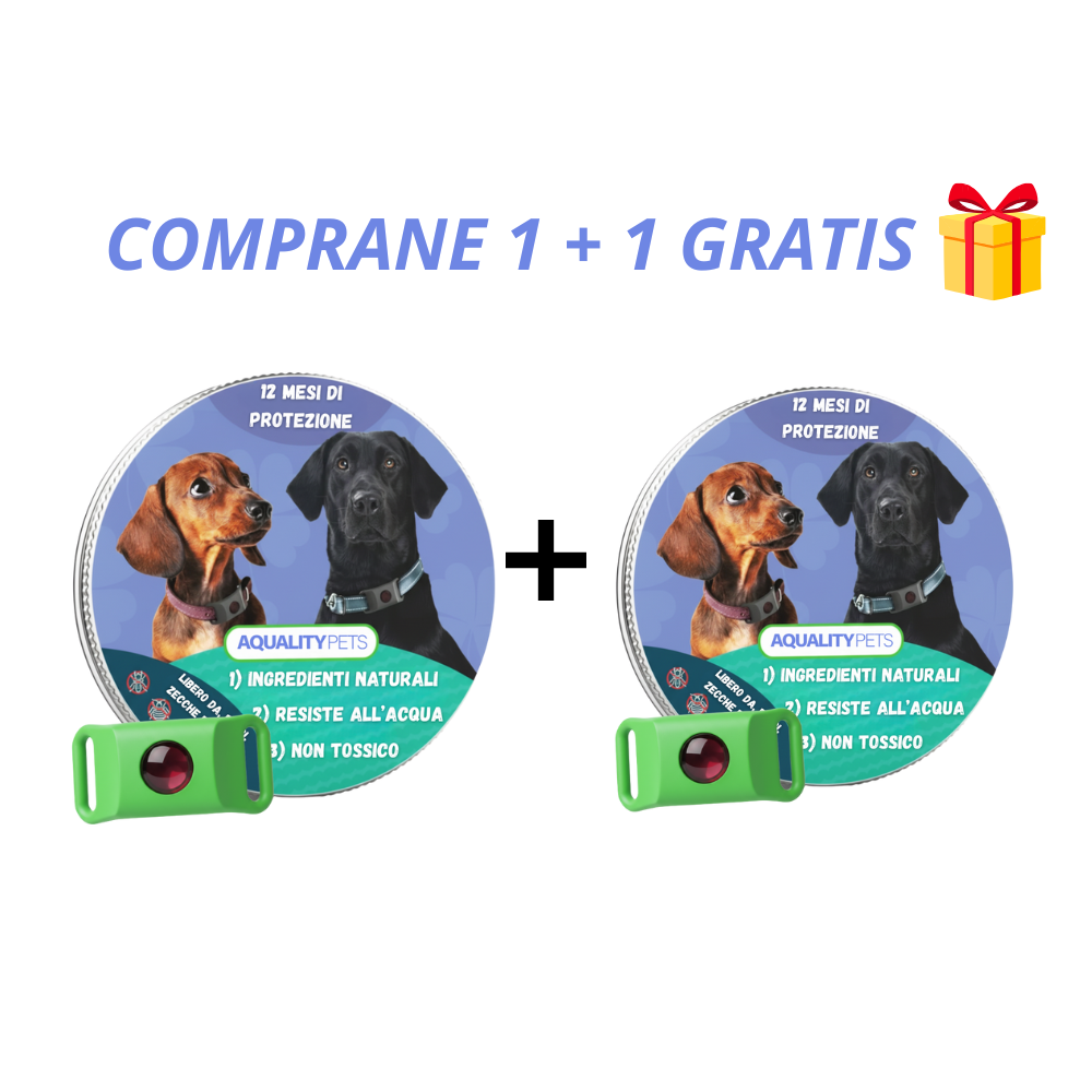 Komplettes Schutzset 1+1 gratis 🎁