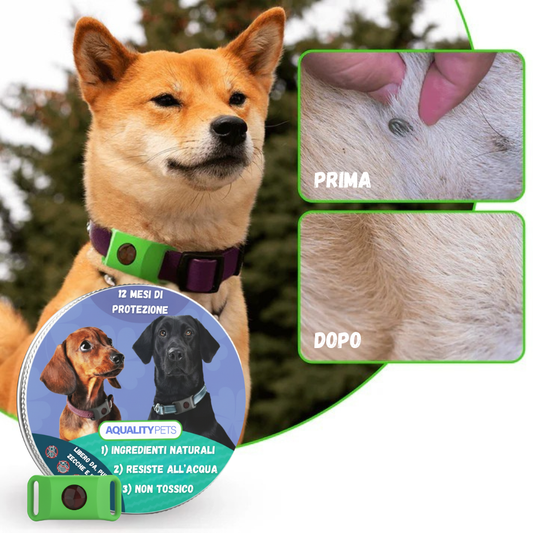 AqualityPets™ – Natürlicher Anti-Parasiten-Anhänger für Hunde – Hält 12 Monate