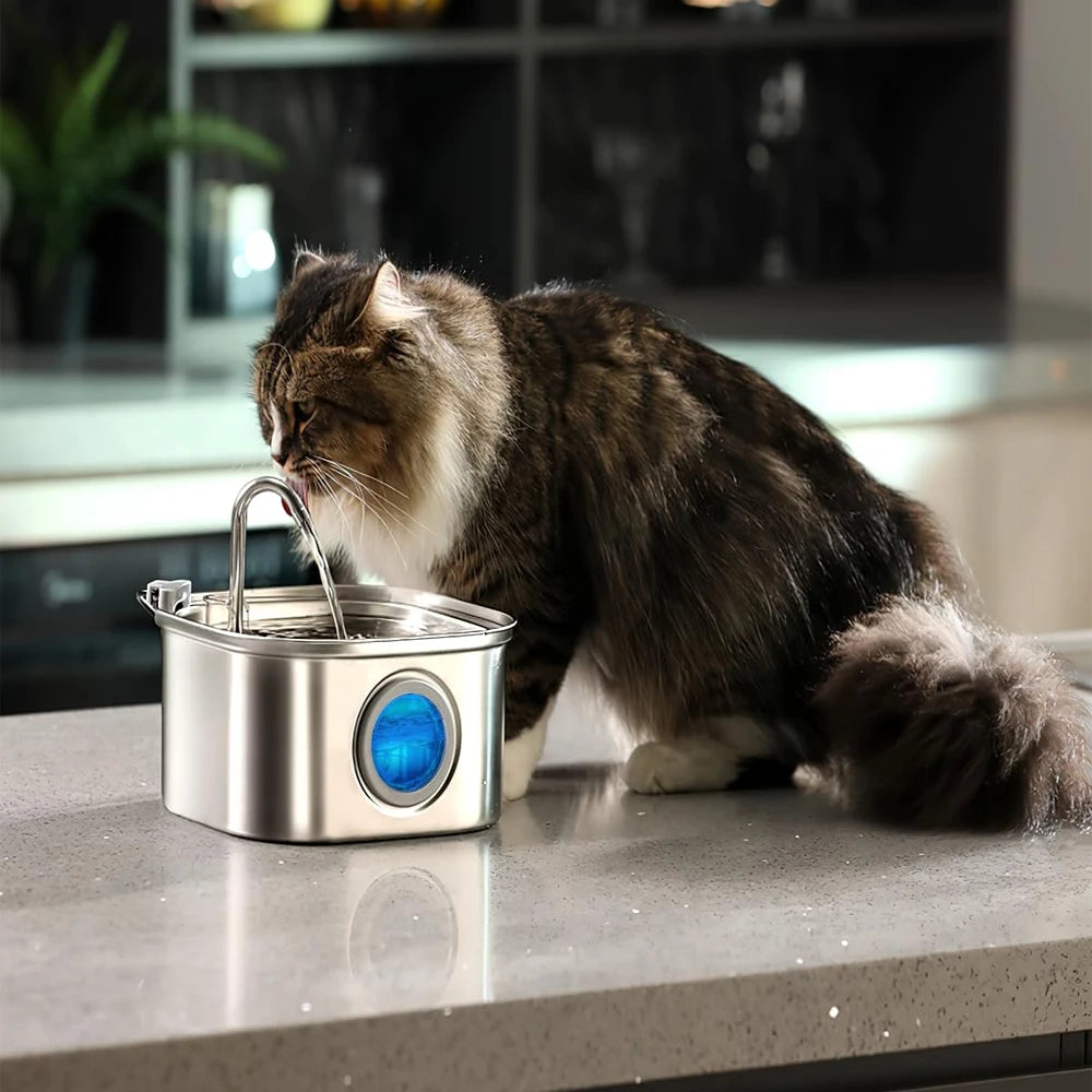 La AqualityPets™ 1.0 - Kit Salute e Felicità per Gatti (Con cavo)