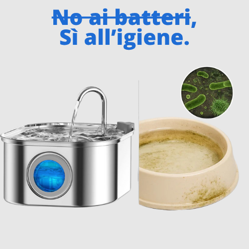 La AqualityPets™ Kit Salute & Felicità per gatti