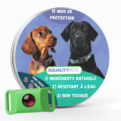Protégez votre chien naturellement contre les tiques, les phlébotomes et les puces | Protection de 12 mois