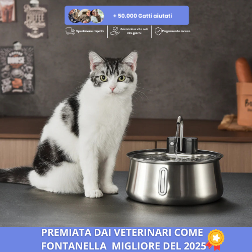 2.png__PID:70db57cf-d6eb-4805-a2b3-bc666a33d54a