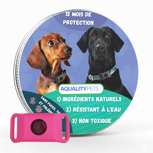 Protégez votre chien naturellement contre les tiques, les phlébotomes et les puces | Protection de 12 mois