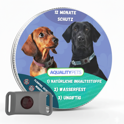 Proteggi il tuo cane in modo naturale da zecche, pulci e insetti | 12 mesi di protezione