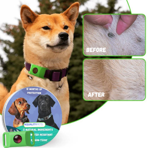 Protect your dog naturally against ticks, sand flies and fleas | 12 months of protection