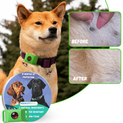 Protect your dog naturally against ticks, sand flies and fleas | 12 months of protection