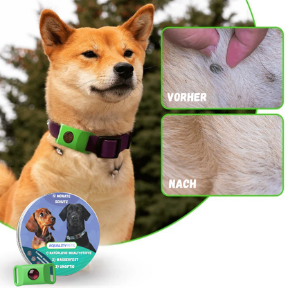 Proteggi il tuo cane in modo naturale da zecche, pulci e insetti | 12 mesi di protezione