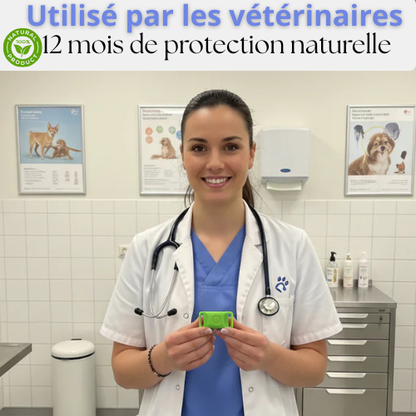 Protégez votre chien naturellement contre les tiques, les phlébotomes et les puces | Protection de 12 mois