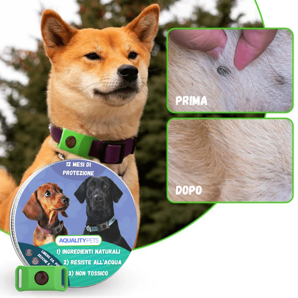 AqualityPets™ – Natürlicher Anti-Parasiten-Anhänger für Hunde – Hält 12 Monate