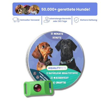 Proteggi il tuo cane in modo naturale da zecche, pulci e insetti | 12 mesi di protezione