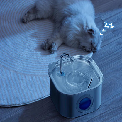 La AqualityPets™ Kit Salute & Felicità per gatti
