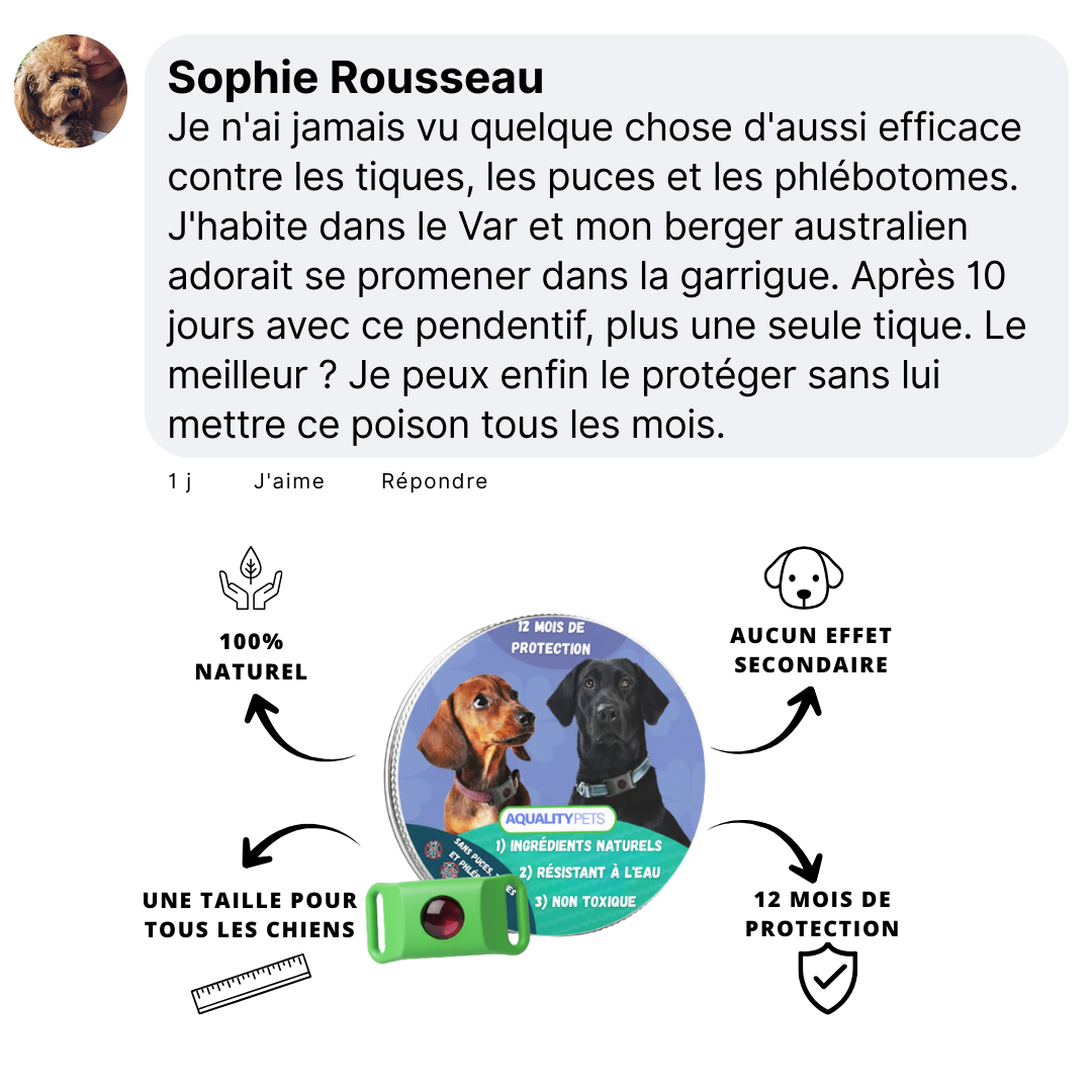 Protégez votre chien naturellement contre les tiques, les phlébotomes et les puces | Protection de 12 mois