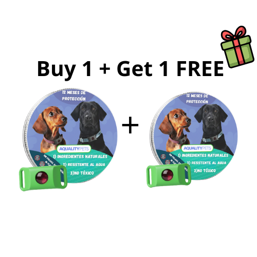 Kit Protección Total 1 + 1 Gratis 🎁