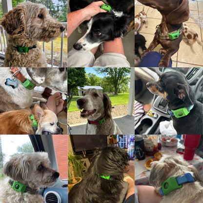 gempages_584814928070705733-49743cb1-3f7a-4f5b-b21d-2409d9028086.webp__PID:e182febd-6e36-4987-a6db-a049c4d79819