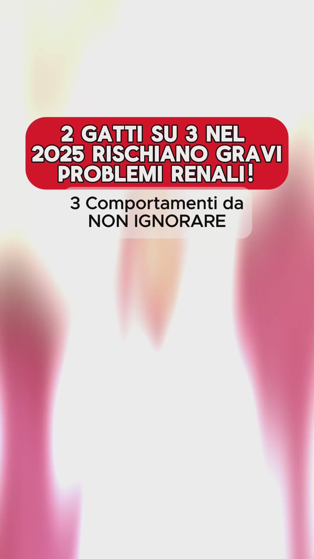 Carica il video: 